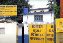 प्रधानमन्त्री बालेन्द्र शाहको पोस्टपछि डिडिसीको याक चिज चर्चामा, बजार प्रवर्द्धन हुने अपेक्षा