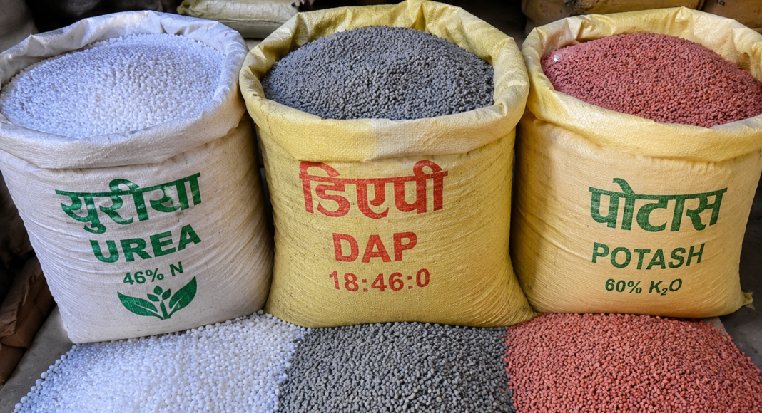 धान रोपाइँलाई लक्षित गर्दै मल वितरण प्रक्रिया सुरु