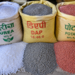 धान रोपाइँलाई लक्षित गर्दै मल वितरण प्रक्रिया सुरु