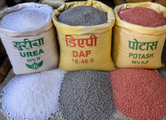 धान रोपाइँलाई लक्षित गर्दै मल वितरण प्रक्रिया सुरु